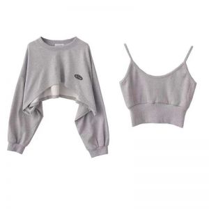 Women's Short Thin Sweatshirt Long Sleeve Crew Neck Casual Top Blouse Daily Casual Two-piece Simple Style Wholesale