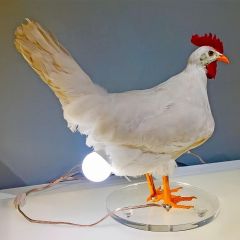Chicken Egg Lamp Lifelike Resin Chicken Egg Lamp Light, Light-up Easter Eggs Lamp 3D LED Night Lights, The Chicken Lays A Glowing Egg With USB Light (White, One Size)